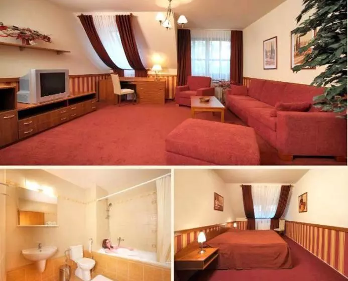 بنسيون Penzion Na Potočnej