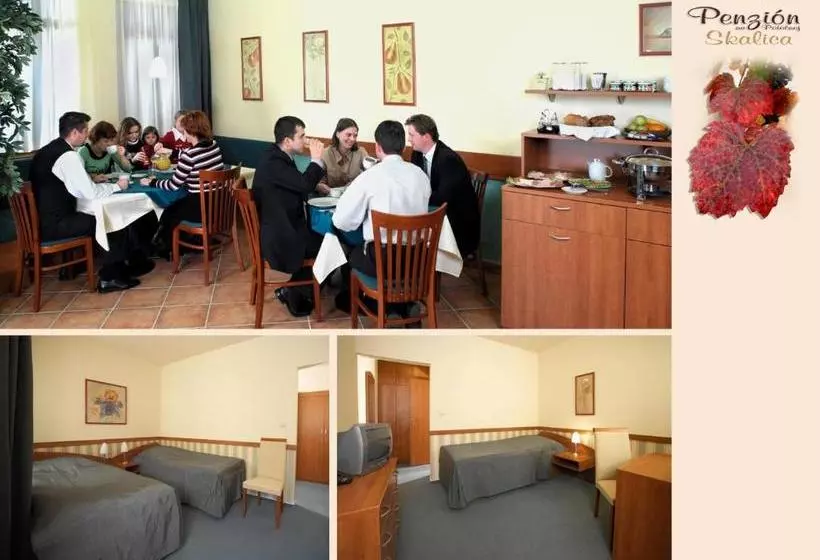 بنسيون Penzion Na Potočnej