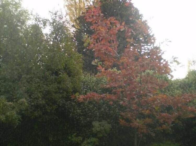 Periko´s Youth Hostel