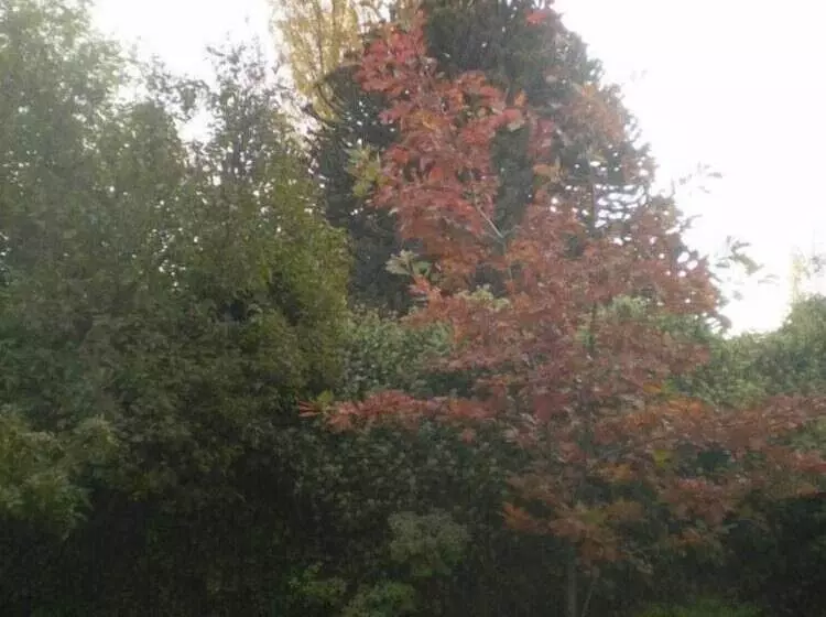 Periko´s Youth Hostel