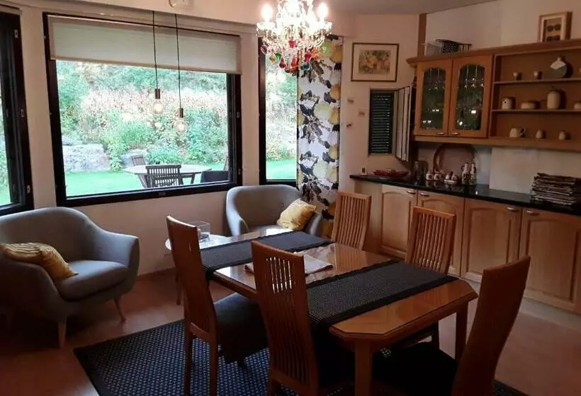 Villa Rinne