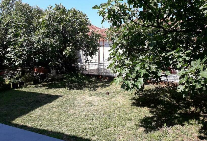 پانسیون Apartmani Fany