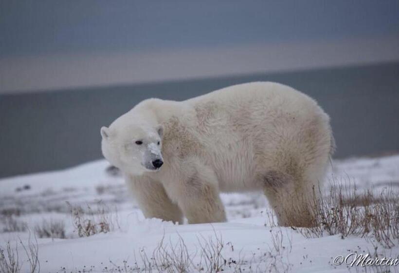 פנסיון Beluga Beach House