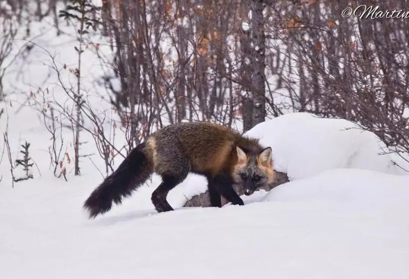 Majatalo Beluga Beach House