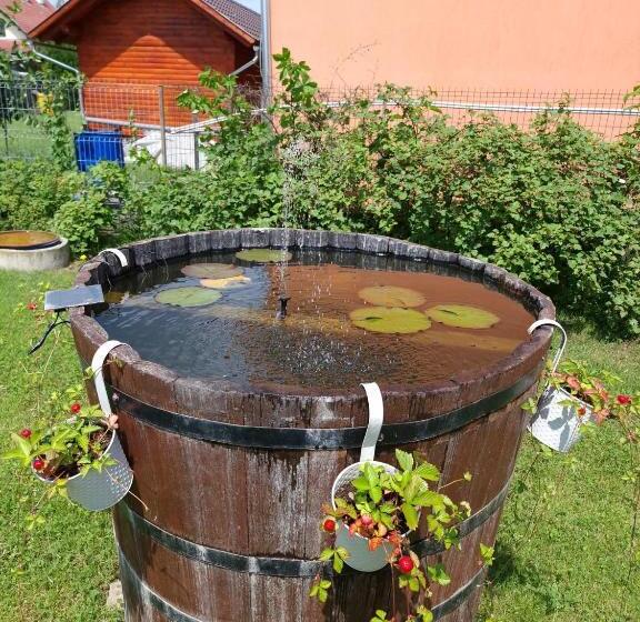 بنسيون Casa Bokor