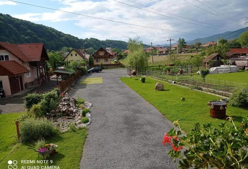 بنسيون Casa Bokor