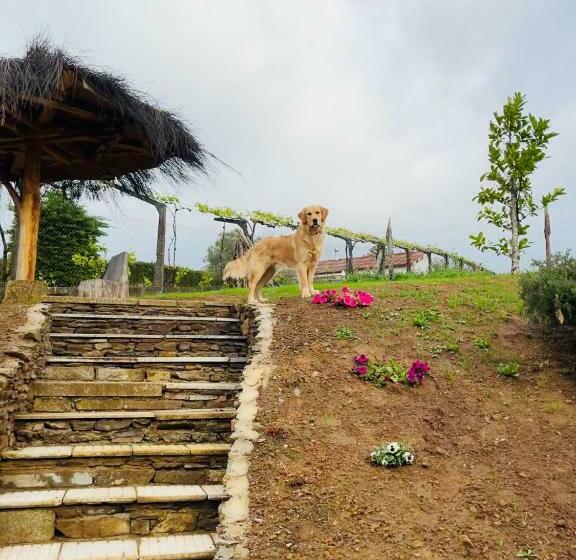 Casa De Piedra Barreiriña