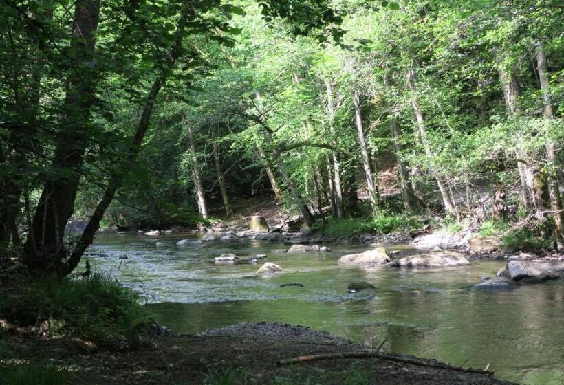 L Atelier   Gîte Urbain Chaleureux
