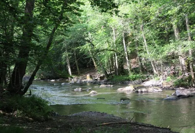 L Atelier   Gîte Urbain Chaleureux