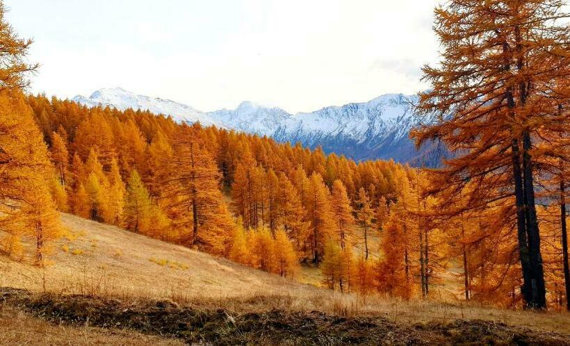 Le Studio Du Queyras Avec Vue Sur La Montagne