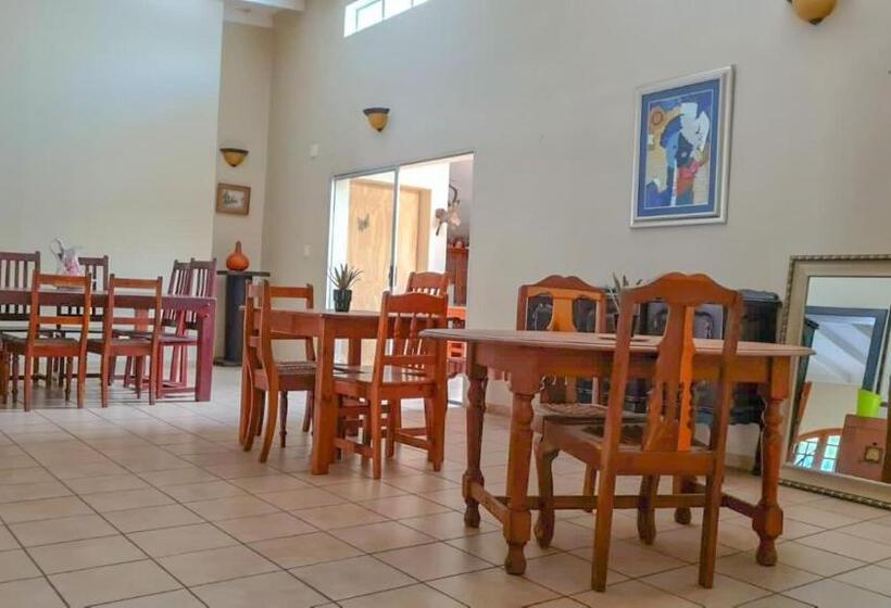 ペンション Alpha B Lodging