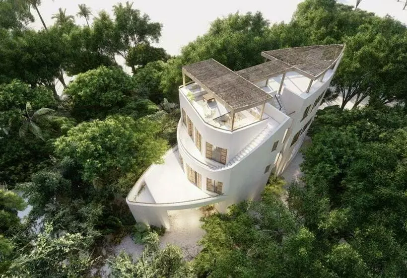 Casa Molly