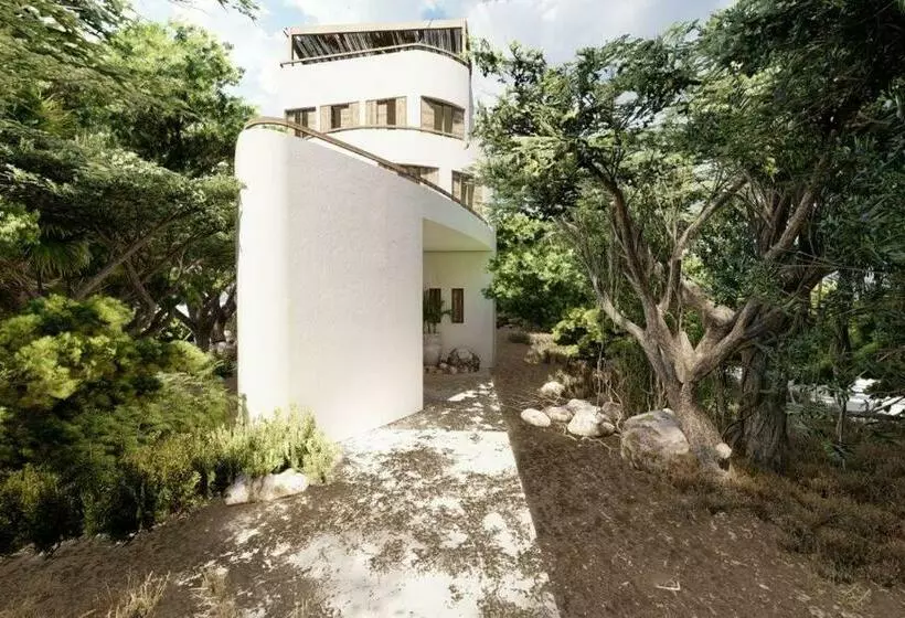 Casa Molly