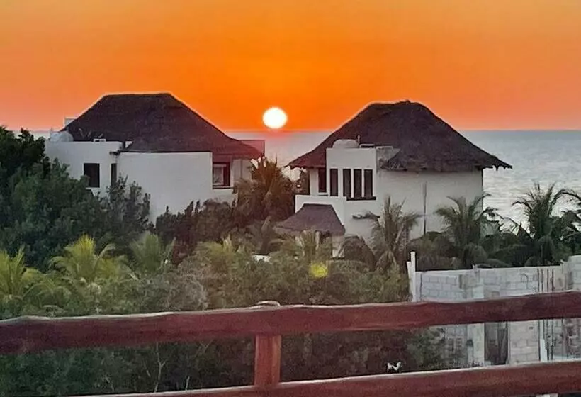 Casa Molly