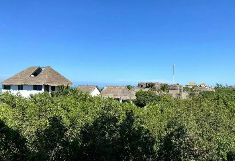 Casa Molly