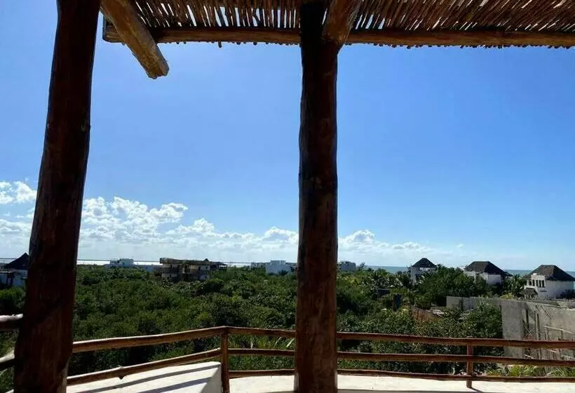Casa Molly