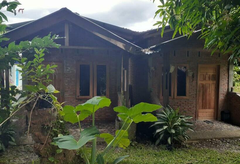 Pensão Jhony S Backpacker Guest House Only Stay Here Book Treking With Us