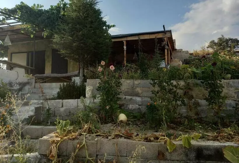 Cave House