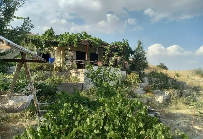 Cave House