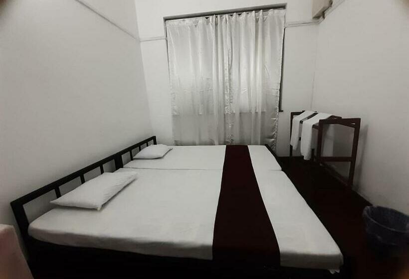 Lazy Bear Best Hostel In Kandy