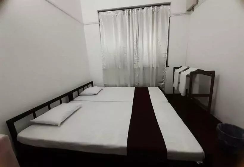 Lazy Bear Best Hostel In Kandy