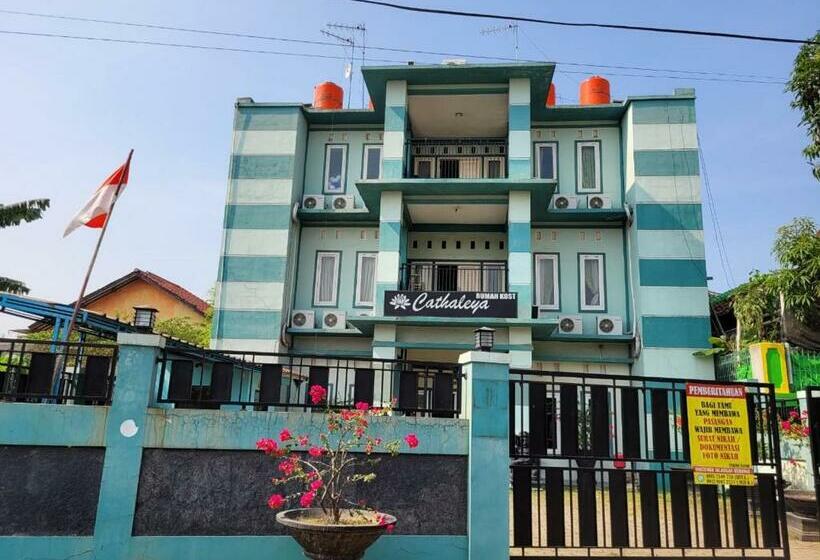 پانسیون Cathaleya Guest House