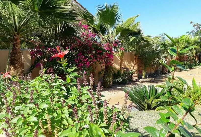 Turtles Beach Resort
