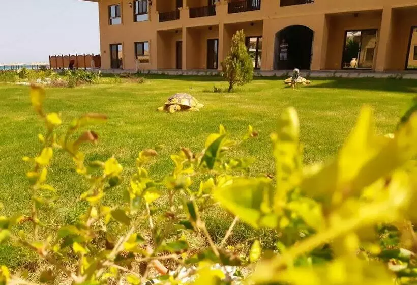 Turtles Beach Resort