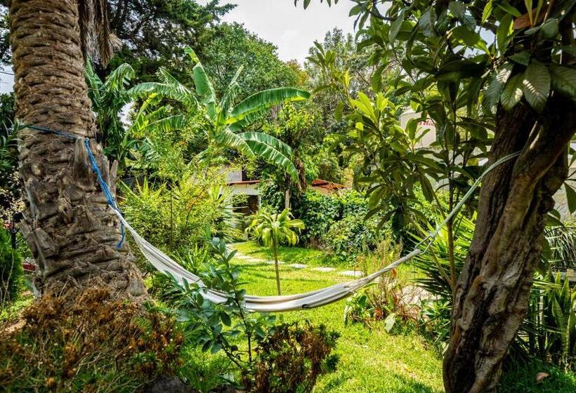 هتل Casa Amaranto