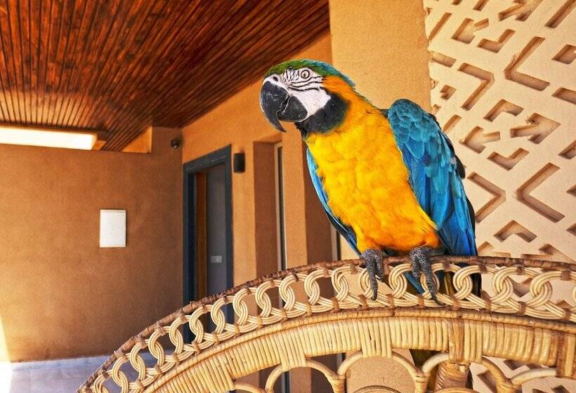 فندق Tulum Beach Resort Dakhla