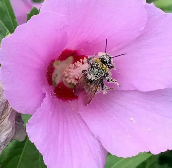 Majatalo Cà Del Prete Country Room By Cà Degli Ovi