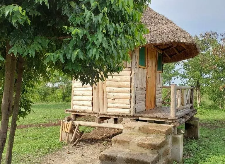 استراحتگاه Songbird Safari Lodge & Campsite