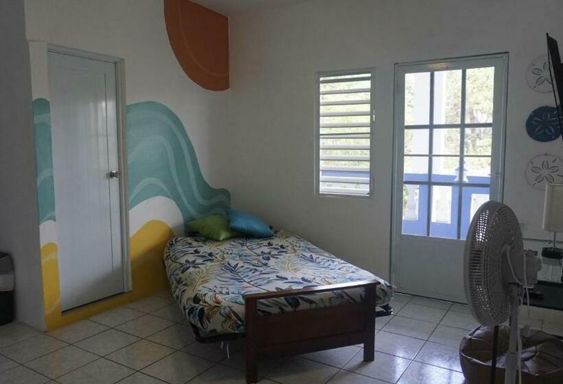 2b   Breezy 1 Bdrm By Crashboat Beach, Sleeps 3