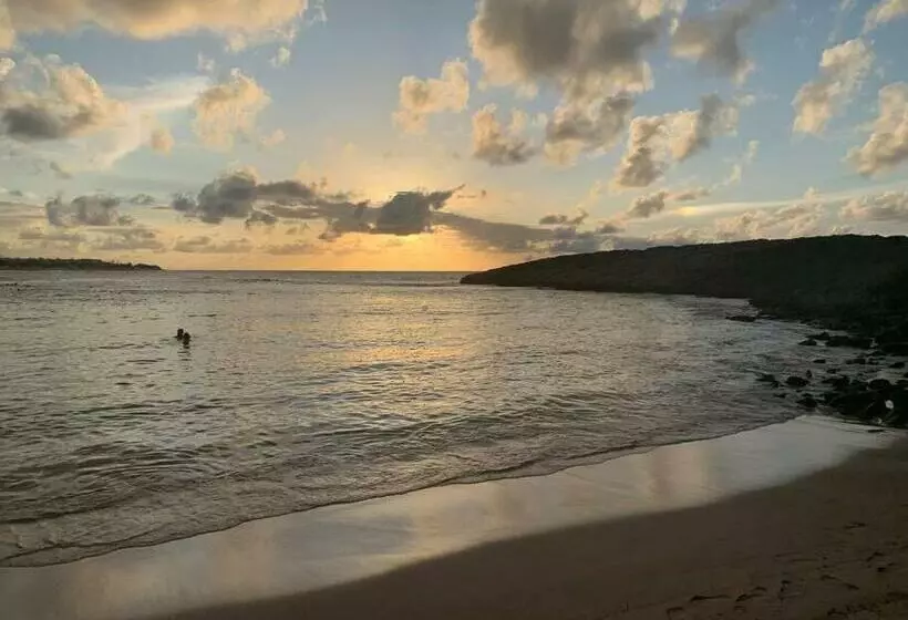 2b Breezy 1 Bdrm By Crashboat Beach, Sleeps 3