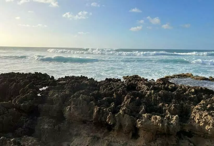 2b Breezy 1 Bdrm By Crashboat Beach, Sleeps 3