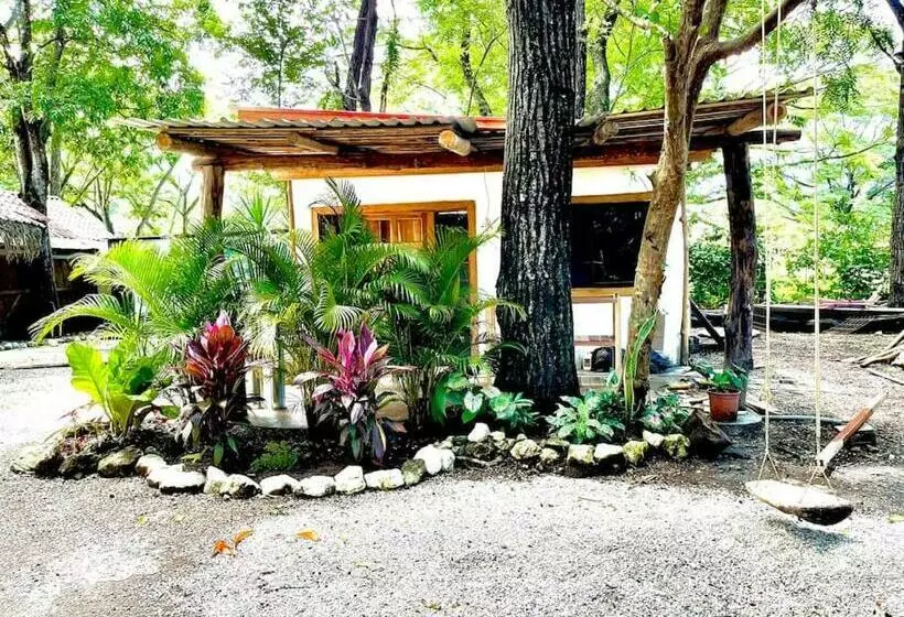 A Nature Lovers Paradise!   Iona Villas