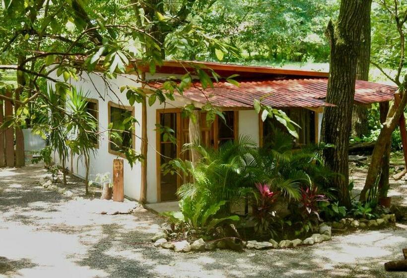 A Nature Lovers Paradise!   Iona Villas