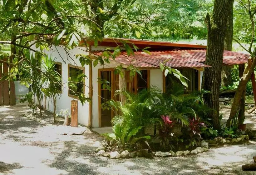 A Nature Lovers Paradise!   Iona Villas