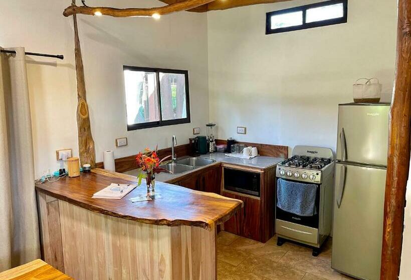 A Nature Lovers Paradise!   Iona Villas