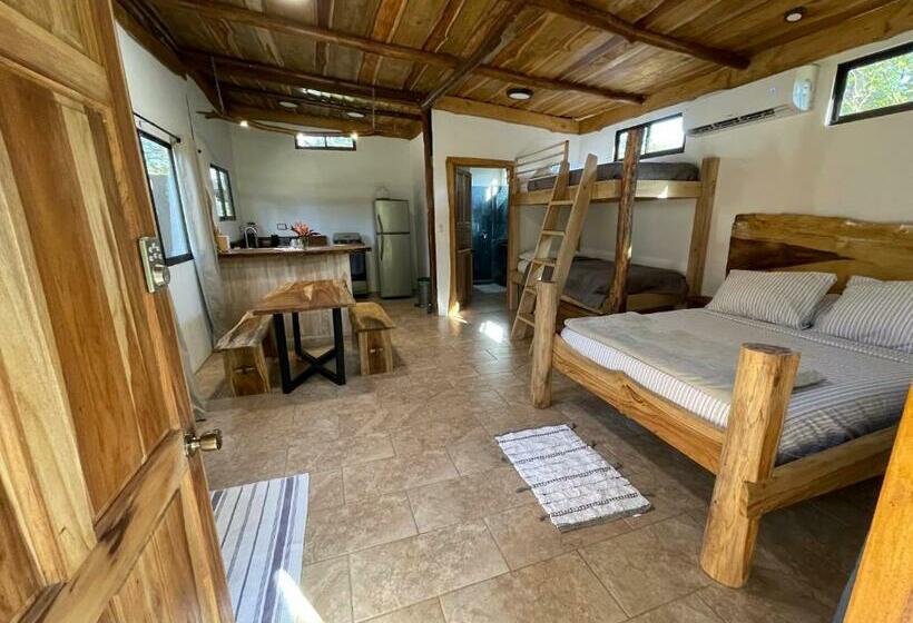 A Nature Lovers Paradise!   Iona Villas