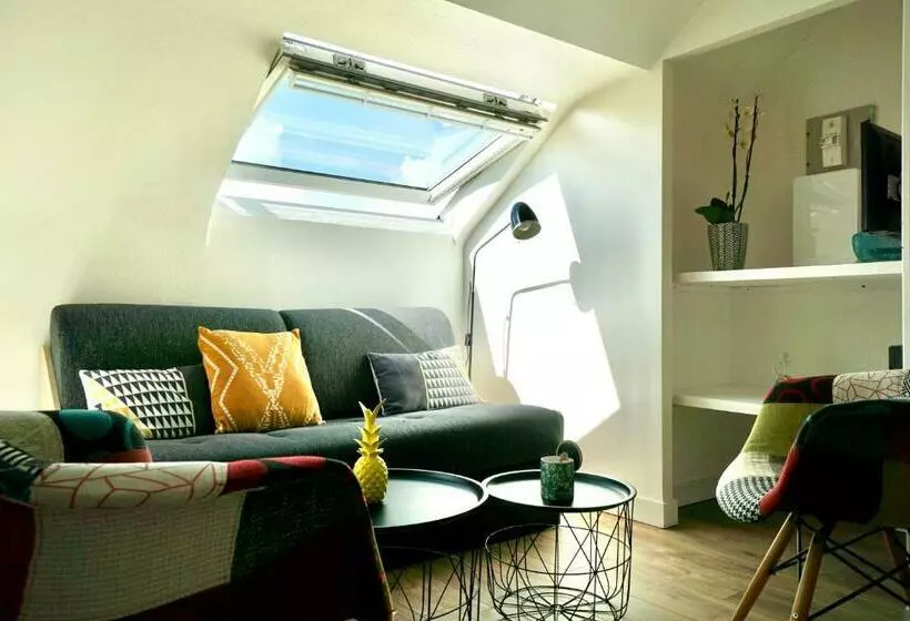 La Lucarne Au Centre Ville Avec Parking Privé Et Ascenseur