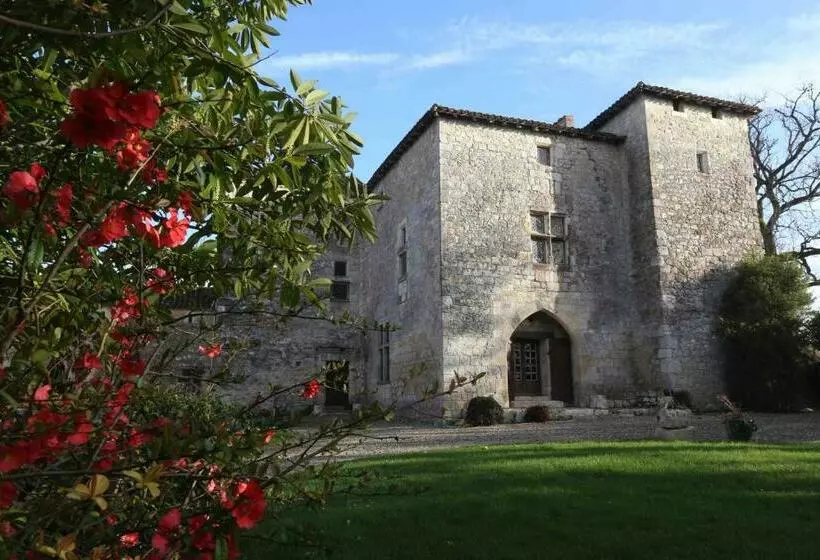 Medieval Castle In Condom   Gers / Gascony