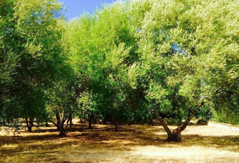 Villa Siciliana La Zagara