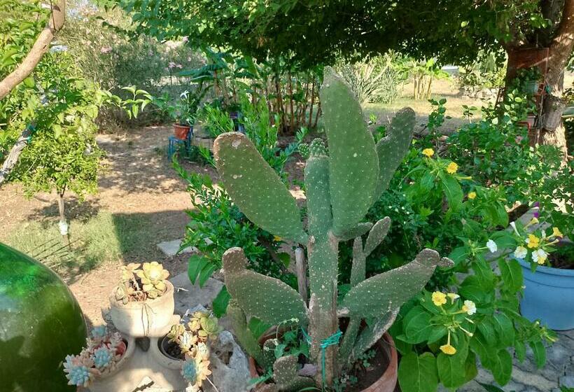 Villa Siciliana La Zagara