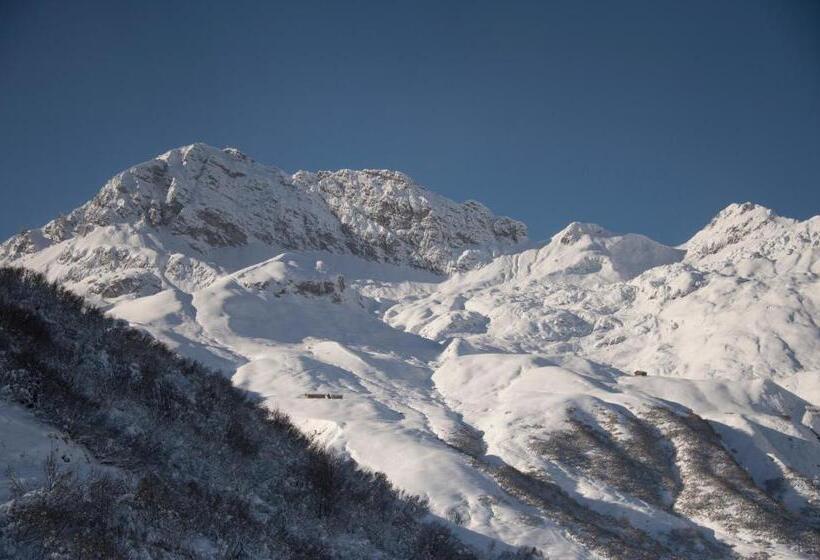 مبيت وإفطار Pension Daniel