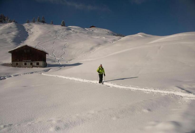 مبيت وإفطار Pension Daniel