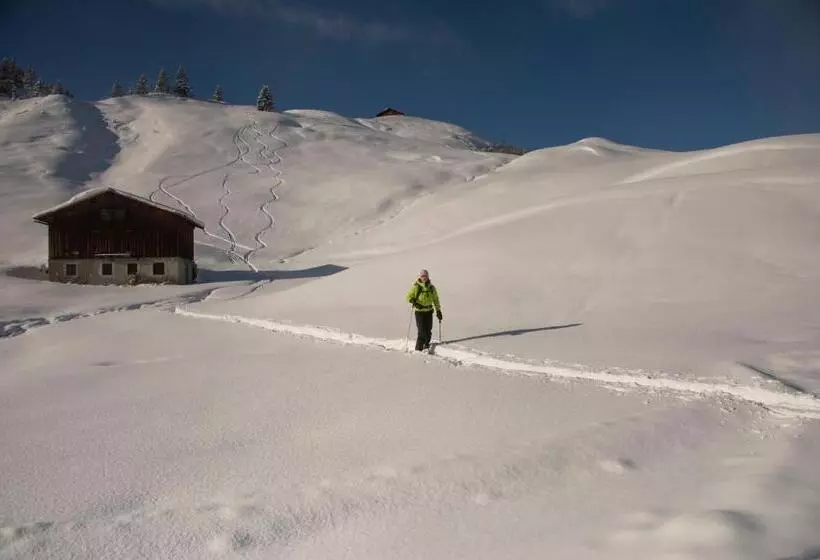 Bed and Breakfast Pension Daniel