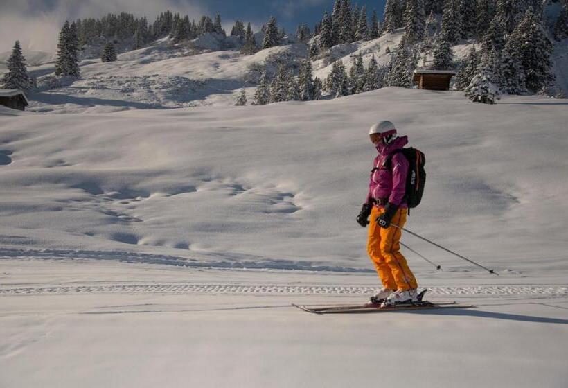 مبيت وإفطار Pension Daniel