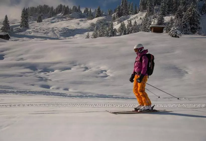 Bed and Breakfast Pension Daniel