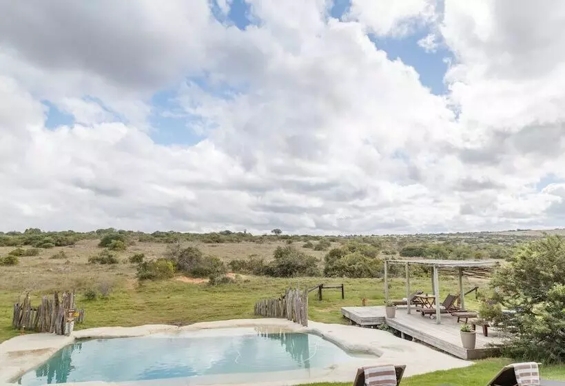 Hlosi Game Lodge   Amakhala Game Reserve